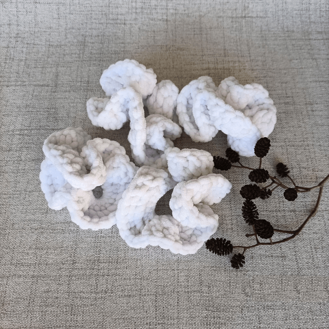 Chouchous 'Hiver'