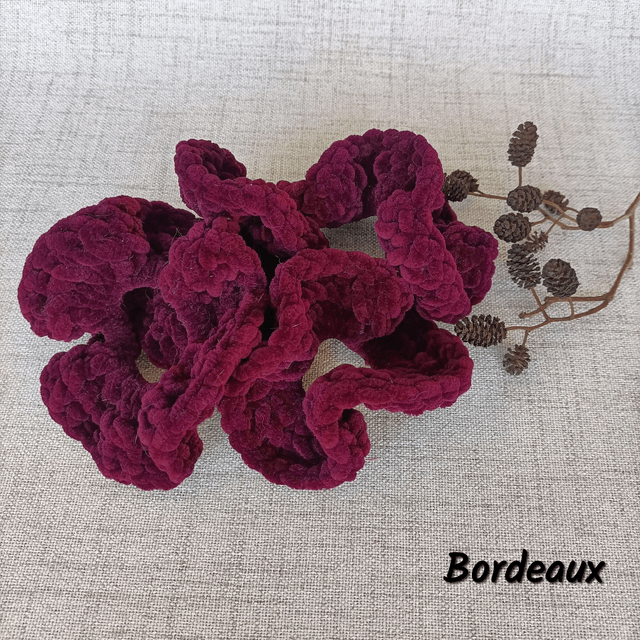 Chouchous 'Hiver'