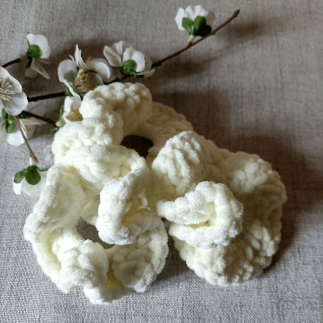 Chouchous 'Printemps'